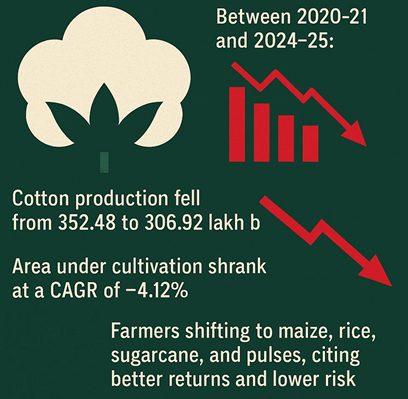 Congestion-Index-Tom-Tom-2024